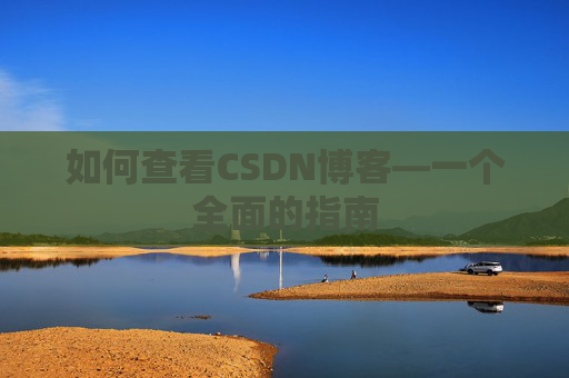 如何查看CSDN博客—一个全面的指南